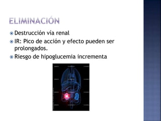  Destrucción vía renal
 IR: Pico de acción y efecto pueden ser
prolongados.
 Riesgo de hipoglucemia incrementa
 