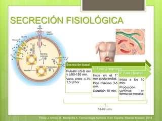 SECRECIÓN FISIOLÓGICA
Secreción basal
Pulsátil c/5-8 min
y c/90-150 min.
Varia entre o.75-
1.5 U/hor
1° Fase (Temprana)
Inicia en el 1°
min postprandial.
Pico máximo 3-5
min.
Duración 10 min.
2° Fase (Tardía)
Inicia a los 10
min.
Producción
continua en
forma de meseta.
18-40 U/día
Flórez J, Armijo JA, Mediavilla A. Farmacología humana. 6 ed. España. Elsevier Masson. 2014
 