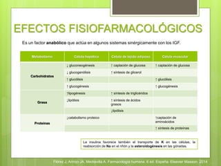 EFECTOS FISIOFARMACOLÓGICOS
Metabolismo Célula hepática Célula de tejido adiposo Célula muscular
Carbohidratos
↓ gluconeogénesis ↑ captación de glucosa ↑ captación de glucosa
↓ glucogenólisis ↑ síntesis de glicerol
↑ glucólisis ↑ glucólisis
↑ glucogénesis ↑ glucogénesis
Grasa
↑lipogénesis ↑ síntesis de triglicéridos
↓lipólisis ↑ síntesis de ácidos
grasos
↓lipólisis
Proteínas
↓catabolismo proteico ↑captación de
aminoácidos
↑ síntesis de proteínas
La insulina favorece también el transporte de K en las células, la
reabsorción de Na en el riñón y la esteroidogénesis en las gónadas.
Es un factor anabólico que actúa en algunos sistemas sinérgicamente con los IGF.
Flórez J, Armijo JA, Mediavilla A. Farmacología humana. 6 ed. España. Elsevier Masson. 2014
 