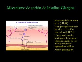 Mecanismo de acción de Insulina Glargina

                            Inyección de la solución
                            ácida (pH 4,0)
                            Microprecipitación de la
                            Insulina en el tejido
                            subcutáneo (pH 7,4)
                            Liberación lenta de
                            hexámeros de Insulina
                            Glargina a partir de los
                            microprecipitados
                            (agregados estables)
                            Acción prolongada
 