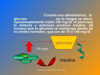 Cuando nos alimentamos,  la  glucosa  en la sangre se eleva, aproximadamente hasta 100 mg/dl, el páncreas lo detecta y entonces produce insulina, de manera que la glicemia se mantenga dentro de los límites normales, que son de 70 a 140 mg/dl.  glucosa 100 mg/dl insulina glucosa glucosa glucosa páncreas 