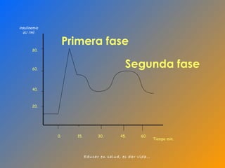 insulinemia u U /ml Tiempo min. 60. 80. 20. 40. 0. 45. 30. 60. 15. Primera fase Segunda fase 