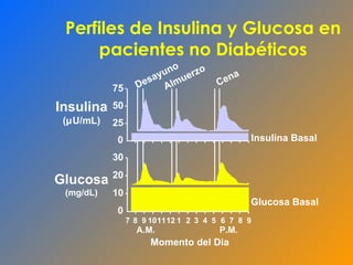 Perfiles de Insulina y Glucosa en pacientes no Diabéticos 30 20 10 0 7 8 9 10 11 12 1 2 3 4 5 6 7 8 9 A.M. P.M. Desayuno Almuerzo Cena 75 50 25 0 Insulina Basal Glucosa Basal Insulina ( µ U/mL) Glucosa (mg/dL) Momento del Dia 