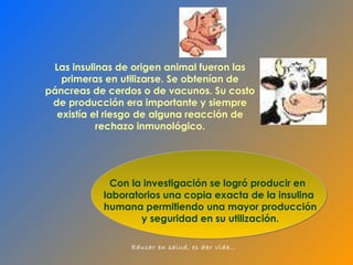 Las insulinas de origen animal fueron las primeras en utilizarse. Se obtenían de páncreas de cerdos o de vacunos. Su costo de producción era importante y siempre existía el riesgo de alguna reacción de rechazo inmunológico. Con la investigación se logró producir en  laboratorios una copia exacta de la insulina humana permitiendo una mayor producción y seguridad en su utilización. 