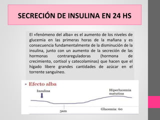 SECRECIÓN DE INSULINA EN 24 HS
El «fenómeno del alba» es el aumento de los niveles de
glucemia en las primeras horas de la mañana y es
consecuencia fundamentalmente de la disminución de la
insulina, junto con un aumento de la secreción de las
hormonas contrareguladoras (hormona de
crecimiento, cortisol y catecolaminas) que hacen que el
hígado libere grandes cantidades de azúcar en el
torrente sanguíneo.
 