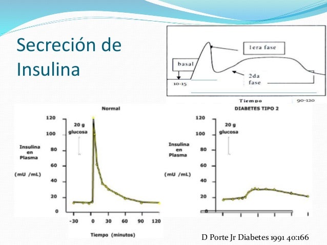 Insulinas (Insulinoterapia) en Diabetes Mellitus Insulinas (Insulinoterapia) en Diabetes Mellitus