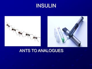 INSULIN
ANTS TO ANALOGUES
 
