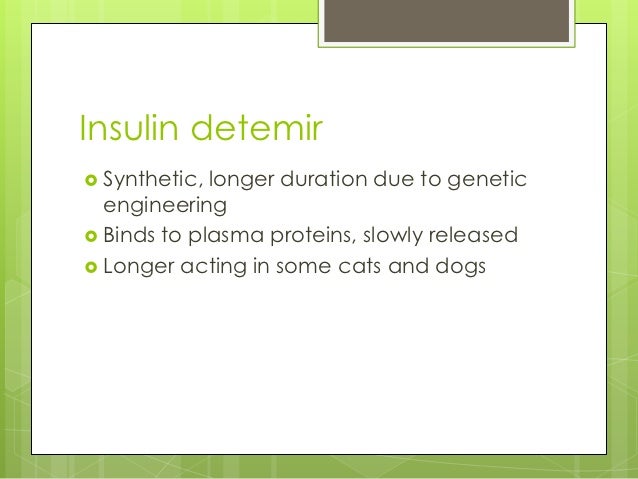 Longer Acting Insulin For Cats Longer Acting Insulin For Cats