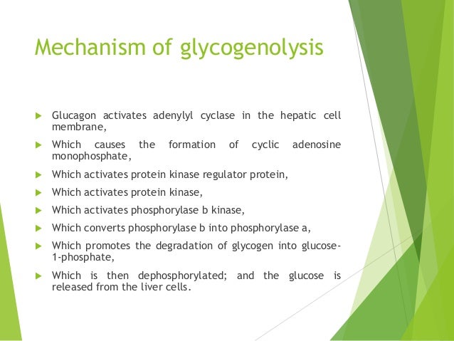 Insulin Glucagon And Diabetes Mellitus