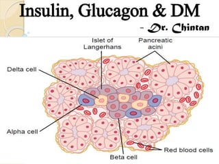 Insulin, Glucagon & DM
- Dr. Chintan

 
