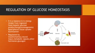 Insulin in management of diabetes mellitus | PPTX