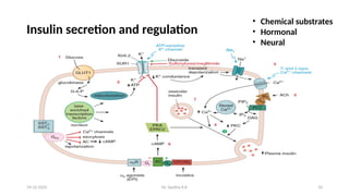Insulin & Insulin analogues types and preparations.pptx