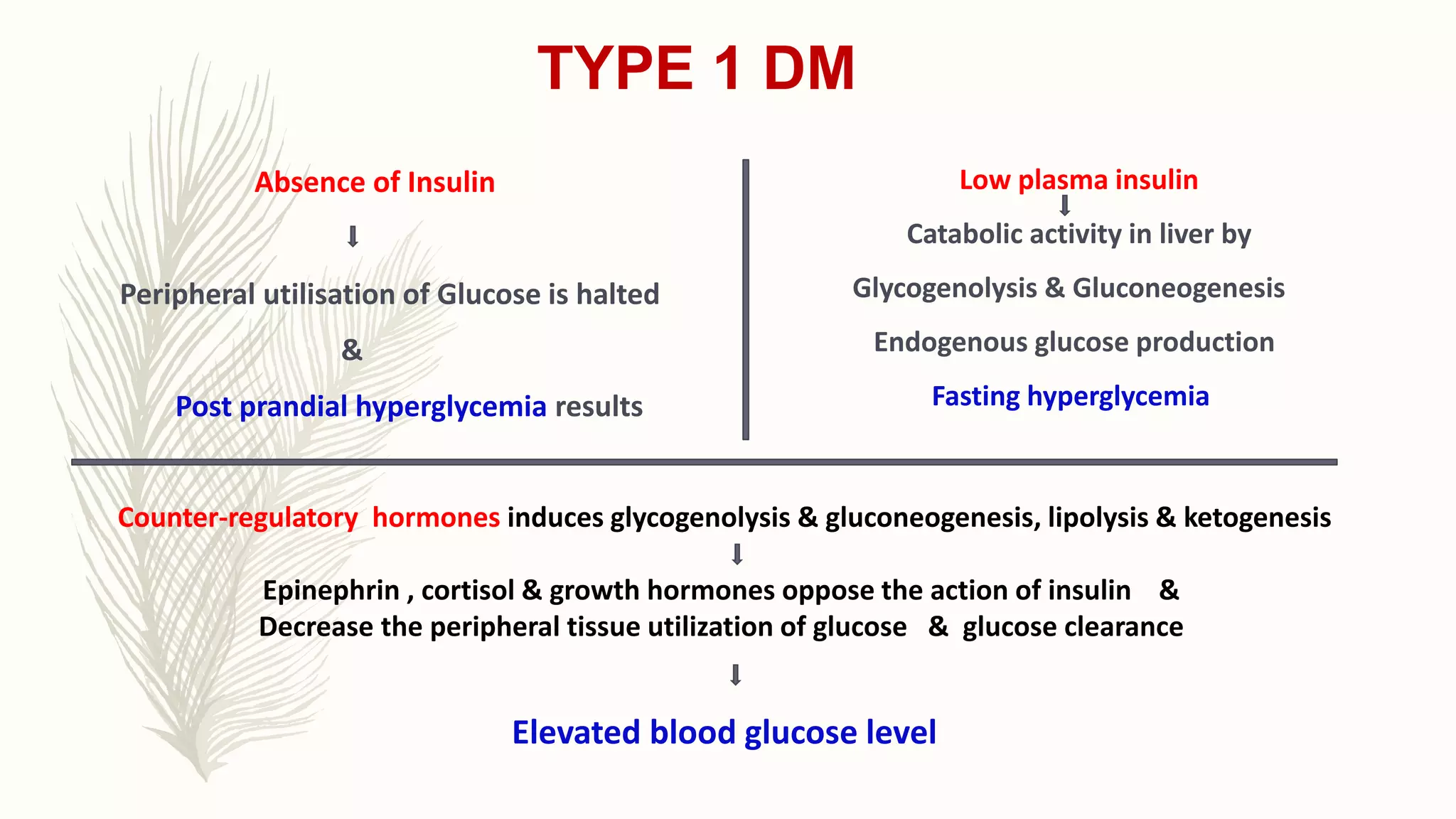 INSULIN MANAGEMENT OF TYPE 1 DIABETES | PPTX