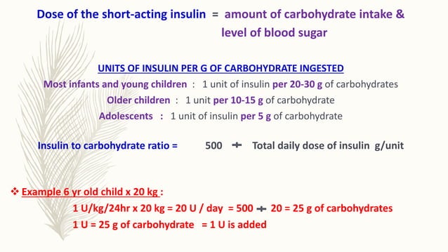 INSULIN MANAGEMENT OF TYPE 1 DIABETES | PPTX | Diabetes | Diseases and ...