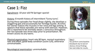 Case 1: Fizz
Signalment: 10 year old FN Springer spaniel
History: 8 month history of intermittent ‘funny turns’.
During these episodes her head drops slightly, she develops a
staggering gait and occasionally her forelegs buckle. At times
her owner notices the muscles in her neck and legs jerking. It
appears that these episodes are worse with exercise. However,
she is reported to be mentally aware / conscious throughout.
Her last episode was three days prior to presentation. No
known access to any toxins.
Physical examination: heart rate 80 bpm, normal respiratory
rate and effort, good body condition (score 5/9), otherwise
unremarkable.
Neurological examination: unremarkable.
Step 1:
You perform some baseline
bloodwork due to lack of
obvious clinical findings.
See next slides for results.
 