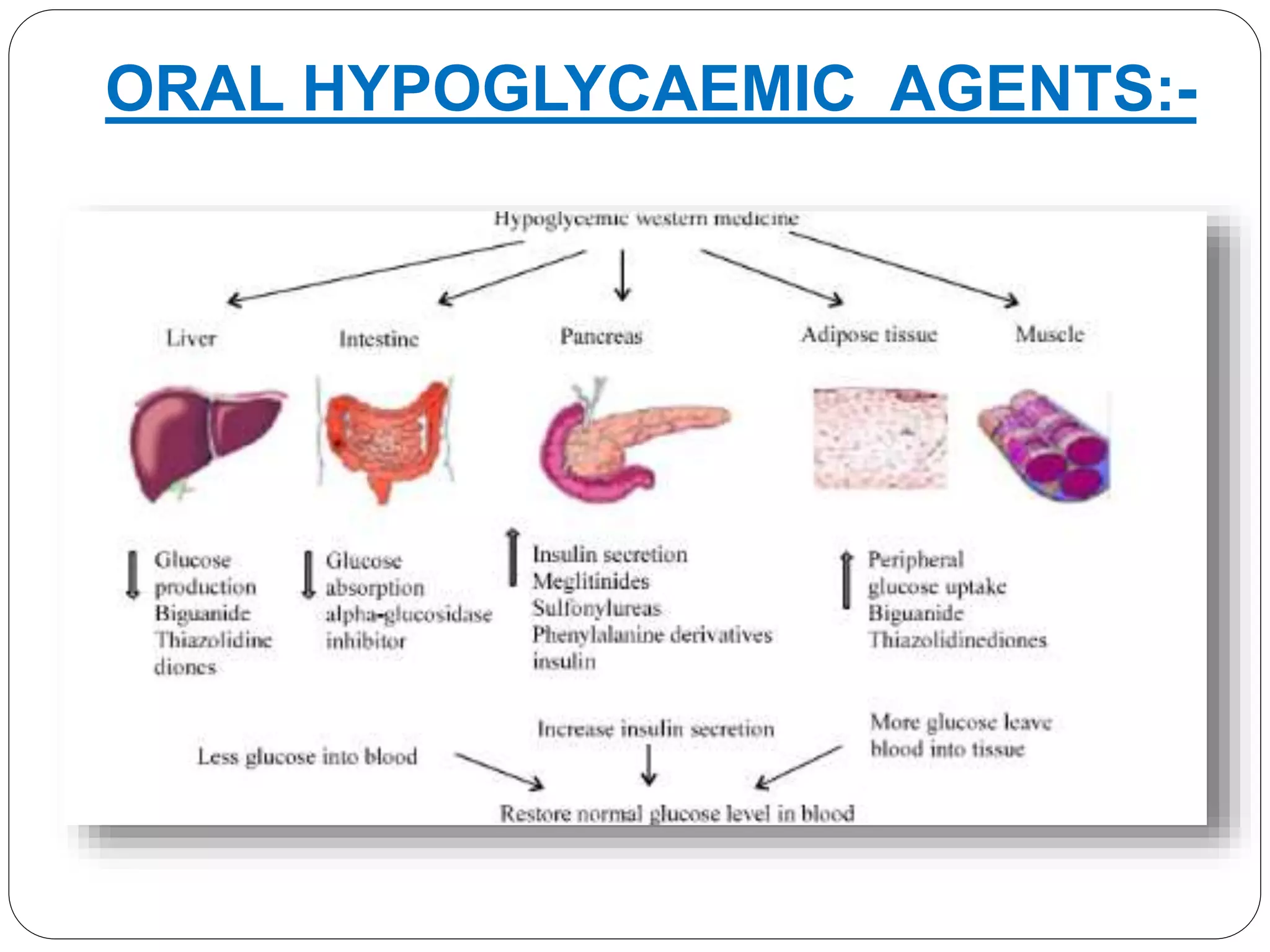 Insulin & Oral Hypoglycemic Agents. | PPTX