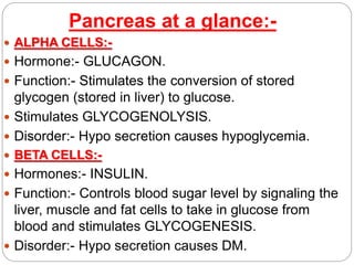 Pancreas at a glance:-
 ALPHA CELLS:-
 Hormone:- GLUCAGON.
 Function:- Stimulates the conversion of stored
glycogen (stored in liver) to glucose.
 Stimulates GLYCOGENOLYSIS.
 Disorder:- Hypo secretion causes hypoglycemia.
 BETA CELLS:-
 Hormones:- INSULIN.
 Function:- Controls blood sugar level by signaling the
liver, muscle and fat cells to take in glucose from
blood and stimulates GLYCOGENESIS.
 Disorder:- Hypo secretion causes DM.
 