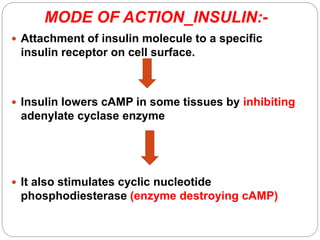 MODE OF ACTION_INSULIN:-
 Attachment of insulin molecule to a specific
insulin receptor on cell surface.
 Insulin lowers cAMP in some tissues by inhibiting
adenylate cyclase enzyme
 It also stimulates cyclic nucleotide
phosphodiesterase (enzyme destroying cAMP)
 