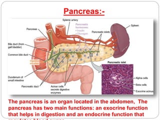 Pancreas:-
The pancreas is an organ located in the abdomen, The
pancreas has two main functions: an exocrine function
that helps in digestion and an endocrine function that
 