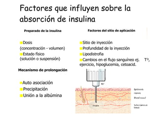 Factores que influyen sobre la absorción de insulina Sitio de inyección Profundidad de la inyección Lipodistrofia Cambios en el flujo sanguíneo ej.  Tº, ejercicio, hipoglucemia, cetoacid. Factores del sitio de aplicación Dosis  (concentración - volumen) Estado físico  (solución o suspensión) Preparado de la insulina Auto asociación Precipitación Unión a la albúmina Mecanismo de prolongación 