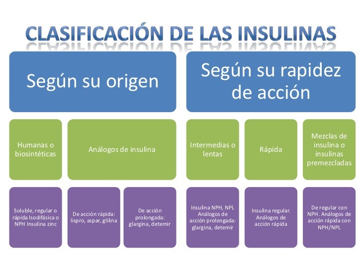 Insulinoterapia Insulinoterapia