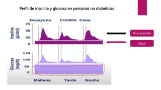 Perfil de insulina y glucosa en personas no diabéticas
Post-prandial
Basal
 