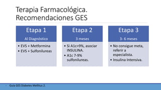Terapia Farmacológica.
Recomendaciones GES
Etapa 1
Al Diagnóstico
• EVS + Metformina
• EVS + Sulfonilureas
Etapa 2
3 meses
• Si A1c>9%, asociar
INSULINA.
• A1c 7-9%
sulfonilureas.
Etapa 3
3- 6 meses
• No consigue meta,
referir a
especialista.
• Insulina Intensiva.
- Guía GES Diabetes Mellitus 2.
 