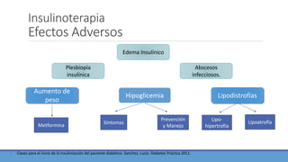 Insulinoterapia
Efectos Adversos
- Claves para el inicio de la insulinización del paciente diabético. Sanchez, Lucio. Diabetes Práctica 2011.
Hipoglicemia
Aumento de
peso
Plesbiopía
insulínica
Lipodistrofias
Abscesos
infecciosos.
Edema Insulínico
Síntomas
Prevención
y ManejoMetformina
Lipo-
hipertrofia
Lipoatrofia
 