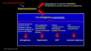 Clase Fisiopato dm uchile
INSULINORRESISTENCIA
 