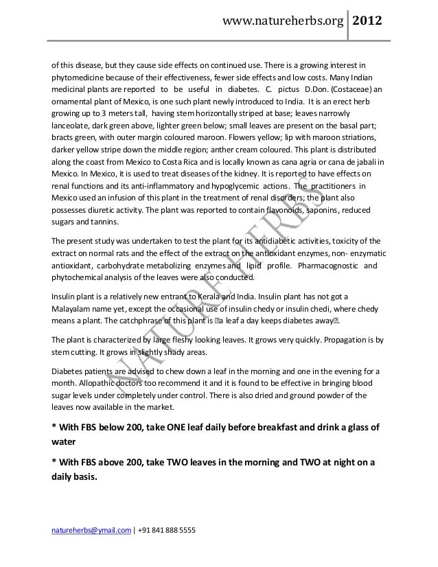 Insulin plant costus pictus