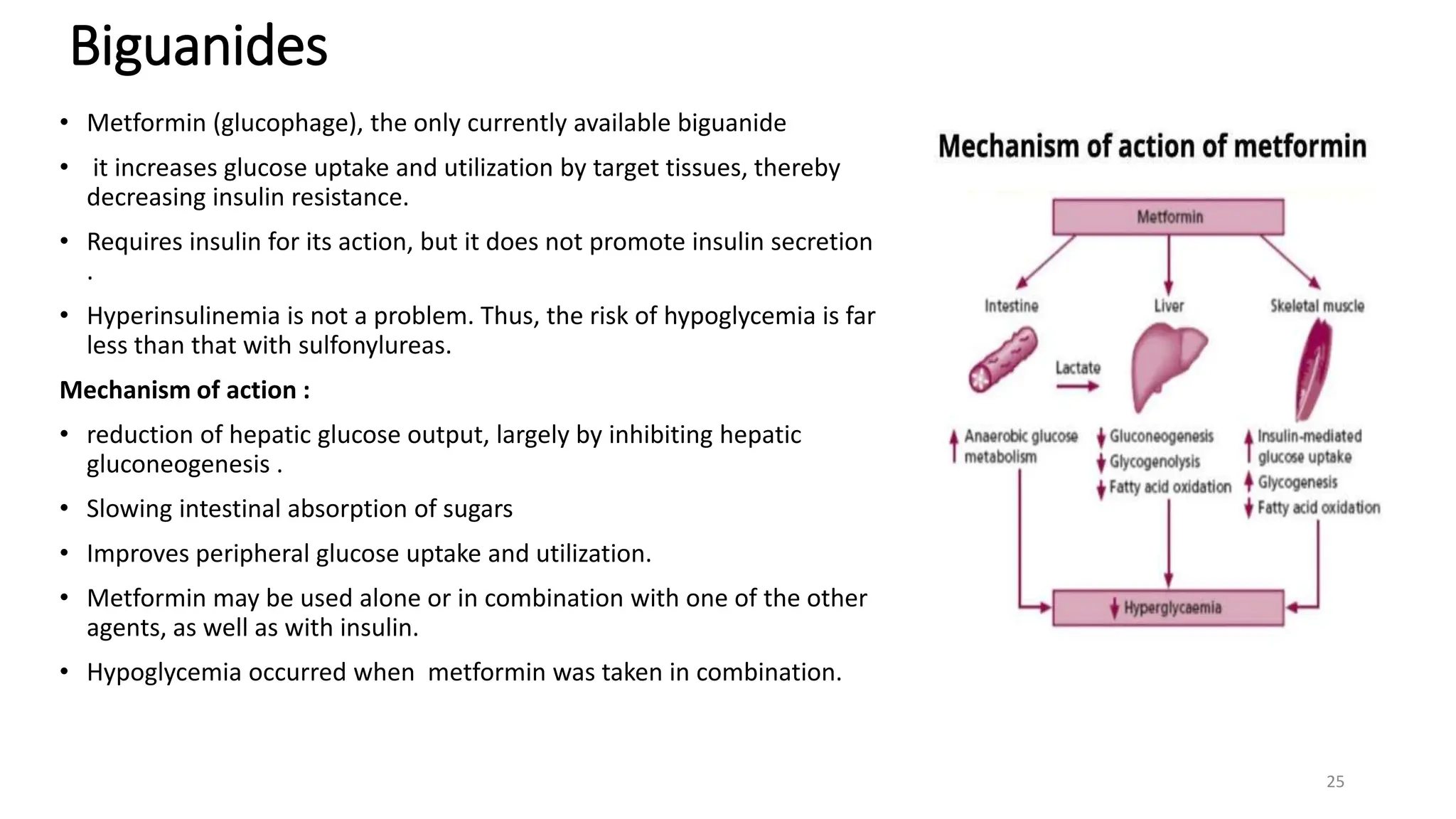 Biguanides
• Metformin (glucophage), the only currently available biguanide
• it increases glucose uptake and utilization by target tissues, thereby
decreasing insulin resistance.
• Requires insulin for its action, but it does not promote insulin secretion
.
• Hyperinsulinemia is not a problem. Thus, the risk of hypoglycemia is far
less than that with sulfonylureas.
Mechanism of action :
• reduction of hepatic glucose output, largely by inhibiting hepatic
gluconeogenesis .
• Slowing intestinal absorption of sugars
• Improves peripheral glucose uptake and utilization.
• Metformin may be used alone or in combination with one of the other
agents, as well as with insulin.
• Hypoglycemia occurred when metformin was taken in combination.
25
 