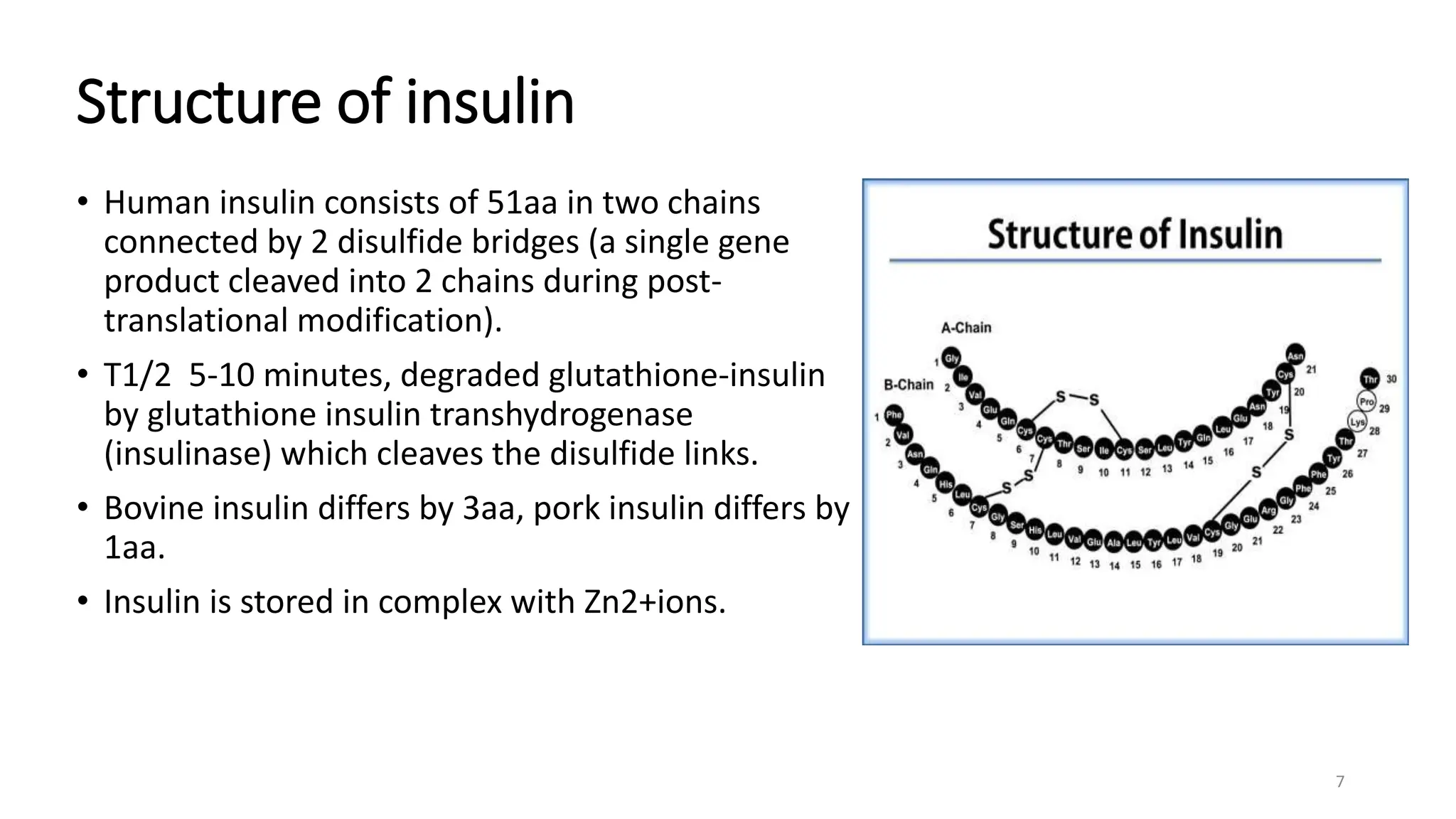 Structure of insulin
• Human insulin consists of 51aa in two chains
connected by 2 disulfide bridges (a single gene
product cleaved into 2 chains during post-
translational modification).
• T1/2 5-10 minutes, degraded glutathione-insulin
by glutathione insulin transhydrogenase
(insulinase) which cleaves the disulfide links.
• Bovine insulin differs by 3aa, pork insulin differs by
1aa.
• Insulin is stored in complex with Zn2+ions.
7
 