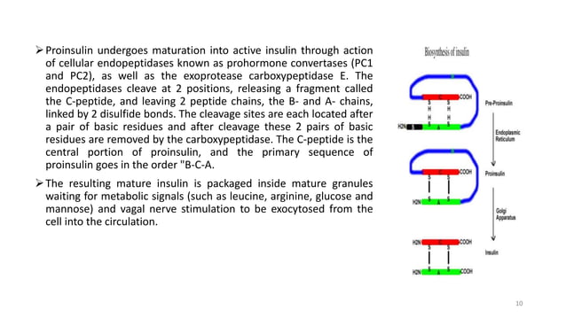 molecular & cellular mechanism of action of insulin | PPTX