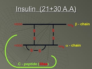 Insulin (21+30 A.A)
 