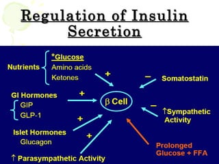 Regulation of Insulin
     Secretion
 