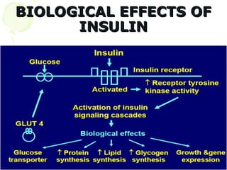 BIOLOGICAL EFFECTS OF
      INSULIN
 