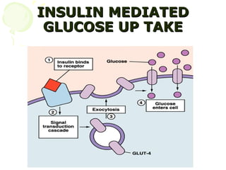 INSULIN MEDIATED
 GLUCOSE UP TAKE
 