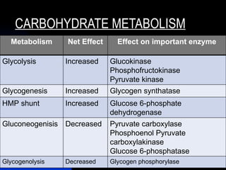 CARBOHYDRATE METABOLISM
  Metabolism      Net Effect     Effect on important enzyme

Glycolysis        Increased    Glucokinase
                               Phosphofructokinase
                               Pyruvate kinase
Glycogenesis      Increased    Glycogen synthatase
HMP shunt         Increased    Glucose 6-phosphate
                               dehydrogenase
Gluconeogenisis   Decreased    Pyruvate carboxylase
                               Phosphoenol Pyruvate
                               carboxylakinase
                               Glucose 6-phosphatase
Glycogenolysis    Decreased    Glycogen phosphorylase
 
