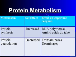Protein Metabolism
Metabolism    Net Effect   Effect on important
                           enzymes

Protein       Increased RNA polymerase
synthesis               Amino acids up take

Protein       Decreased Transaminases
degradation             Deaminases
 
