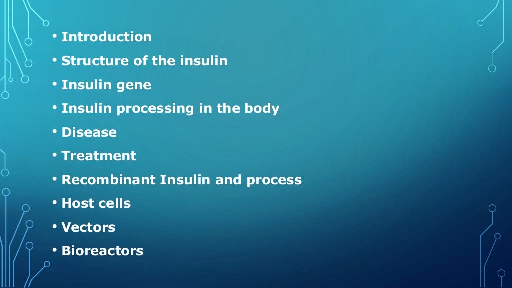 Insulin production and synthesis