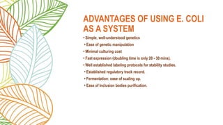• Simple, well-understood genetics
• Ease of genetic manipulation
• Minimal culturing cost
• Fast expression (doubling time is only 20 - 30 mins).
• Well established labeling protocols for stability studies.
• Established regulatory track record.
• Fermentation: ease of scaling up.
• Ease of Inclusion bodies purification.
ADVANTAGES OF USING E. COLI
AS A SYSTEM
 