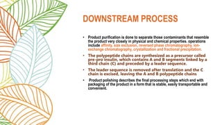 • Product purification is done to separate those contaminants that resemble
the product very closely in physical and chemical properties. operations
include affinity, size exclusion, reversed phase chromatography, ion-
exchange chromatography, crystallization and fractional precipitation.
• The polypeptide chains are synthesized as a precursor called
pre-pro insulin, which contains A and B segments linked by a
third chain (C) and preceded by a leader sequence.
• The leader sequence is removed after translation and the C
chain is excised, leaving the A and B polypeptide chains
• Product polishing describes the final processing steps which end with
packaging of the product in a form that is stable, easily transportable and
convenient.
DOWNSTREAM PROCESS
 