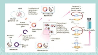 Questions & answers
Invite questions from the audience
 
