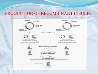 PRODUCTION OF RECOMBINANT INSULIN
 