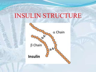 INSULIN STRUCTURE
 