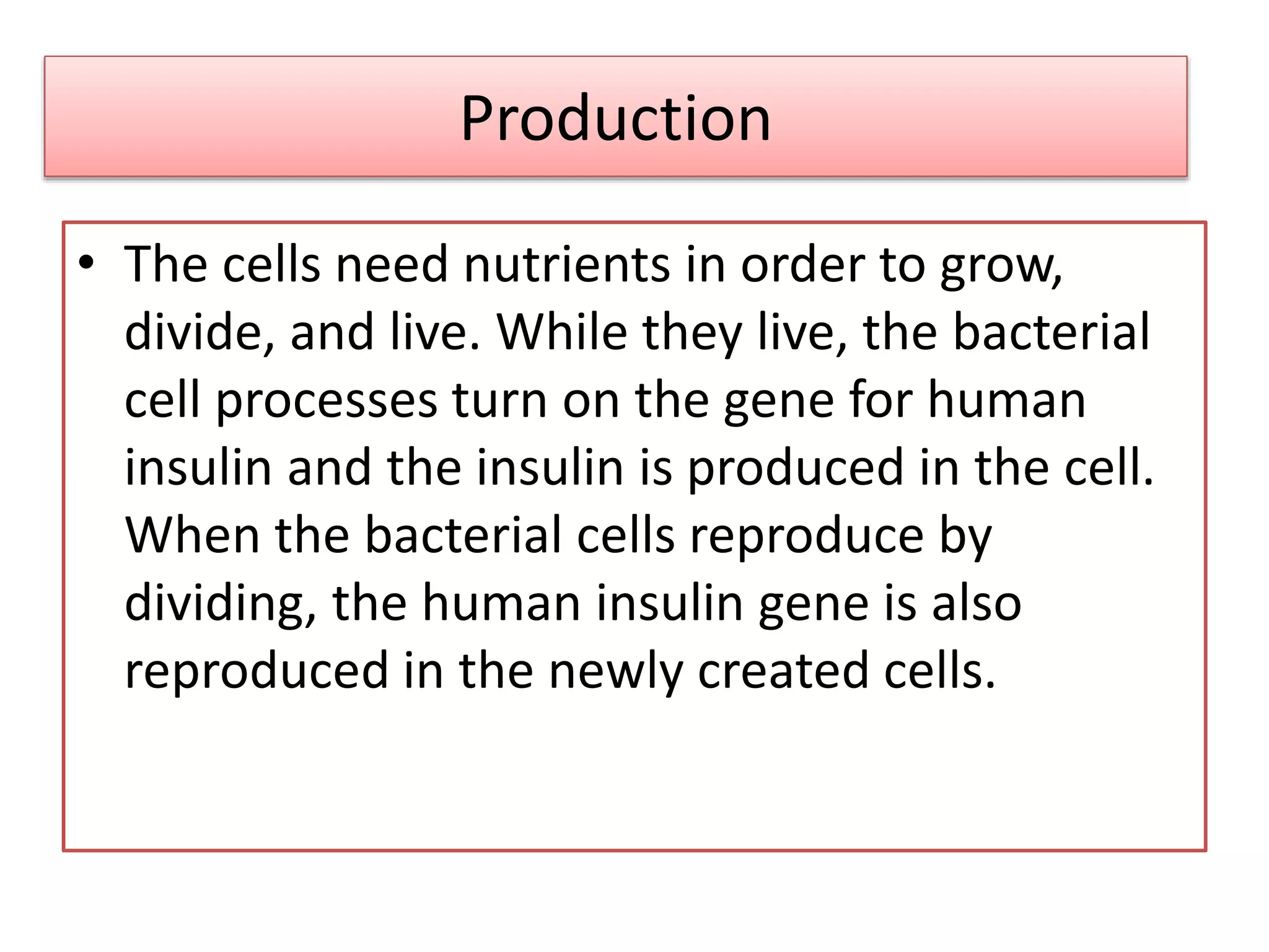 Insulin production by engineering PPT