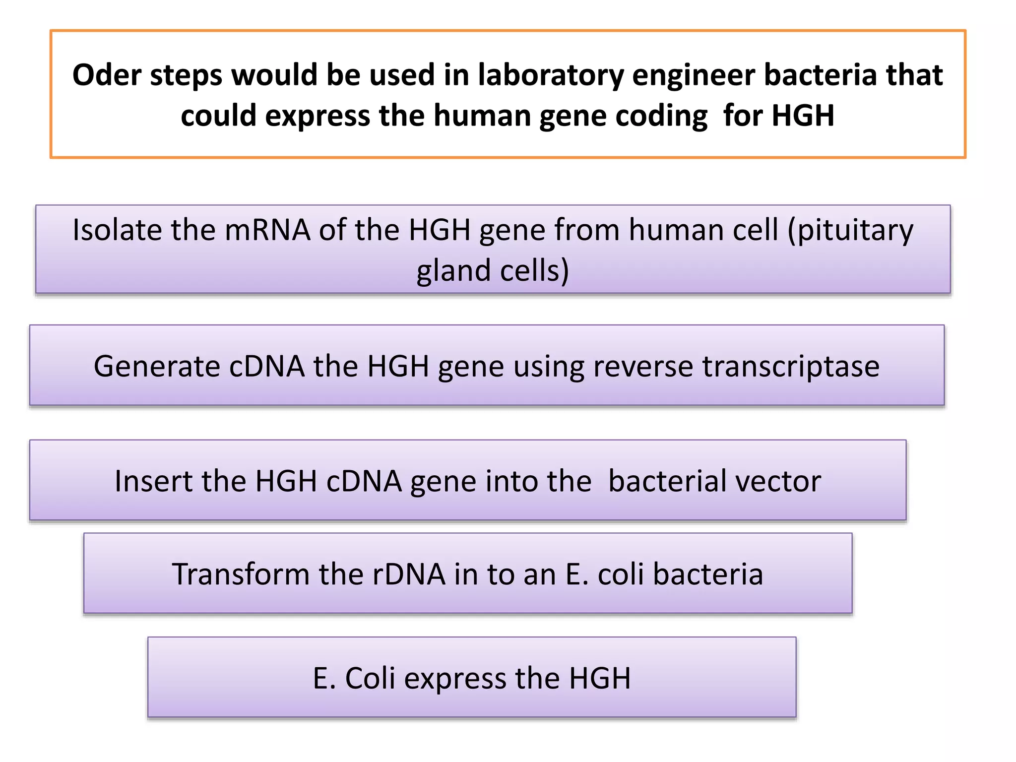 Insulin production by engineering PPT