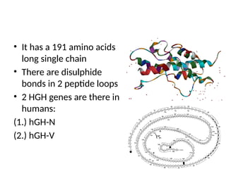 insulin production using rdna technology-.pptx