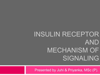 INSULIN RECEPTOR
AND
MECHANISM OF
SIGNALING
Presented by Juhi & Priyanka, MSc (P).
 