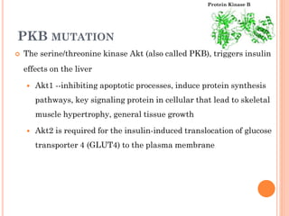 Protein Kinase B

PKB MUTATION


The serine/threonine kinase Akt (also called PKB), triggers insulin

effects on the liver


Akt1 --inhibiting apoptotic processes, induce protein synthesis
pathways, key signaling protein in cellular that lead to skeletal

muscle hypertrophy, general tissue growth


Akt2 is required for the insulin-induced translocation of glucose
transporter 4 (GLUT4) to the plasma membrane

 